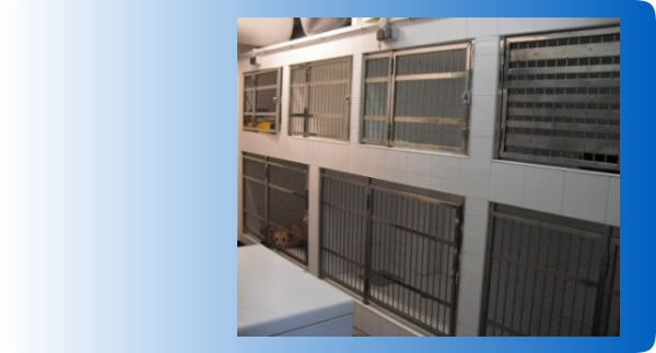 Hospital Veterinario